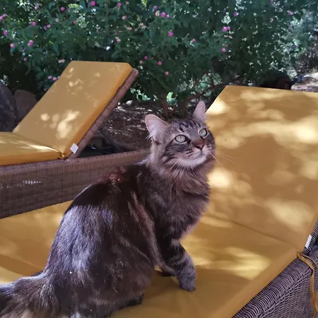 Bed & Breakfast A Melingrana Lecci